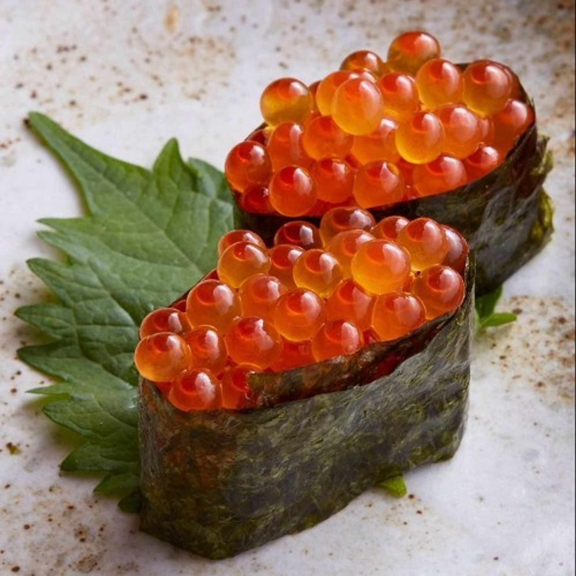 Salmon Roe