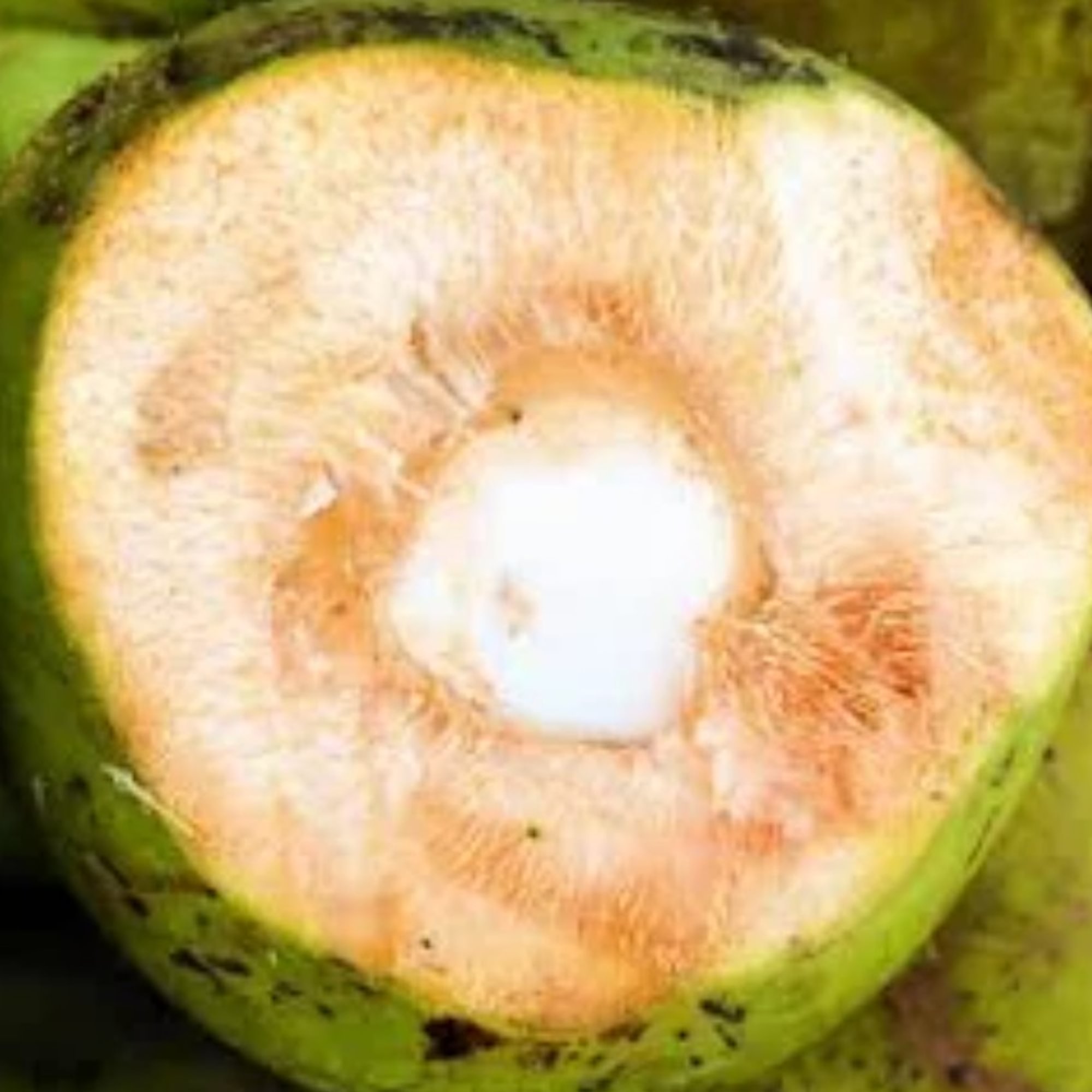 Organic Coconut Water