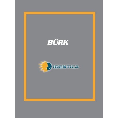 Logo von Bürk Karosserie & Lack