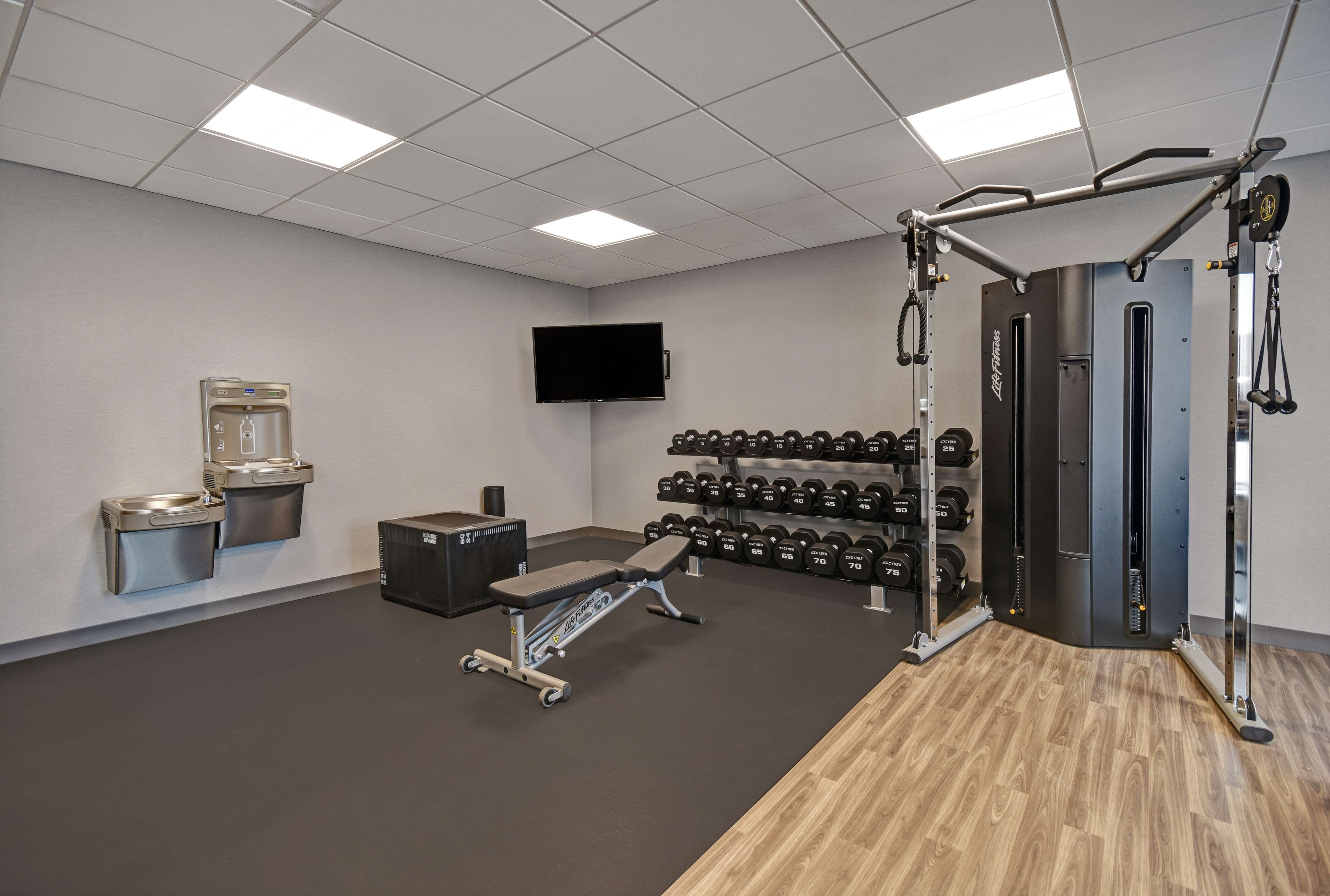 Health club  fitness center  gym