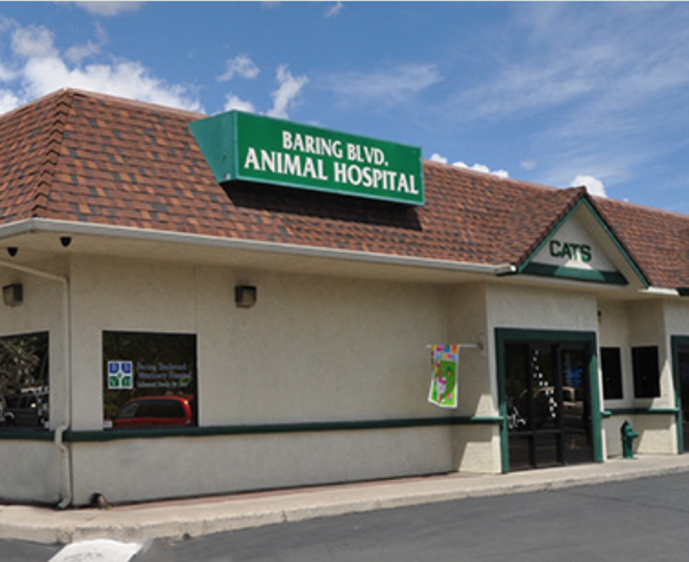 Welcome to VCA Baring Boulevard Animal Hospital!