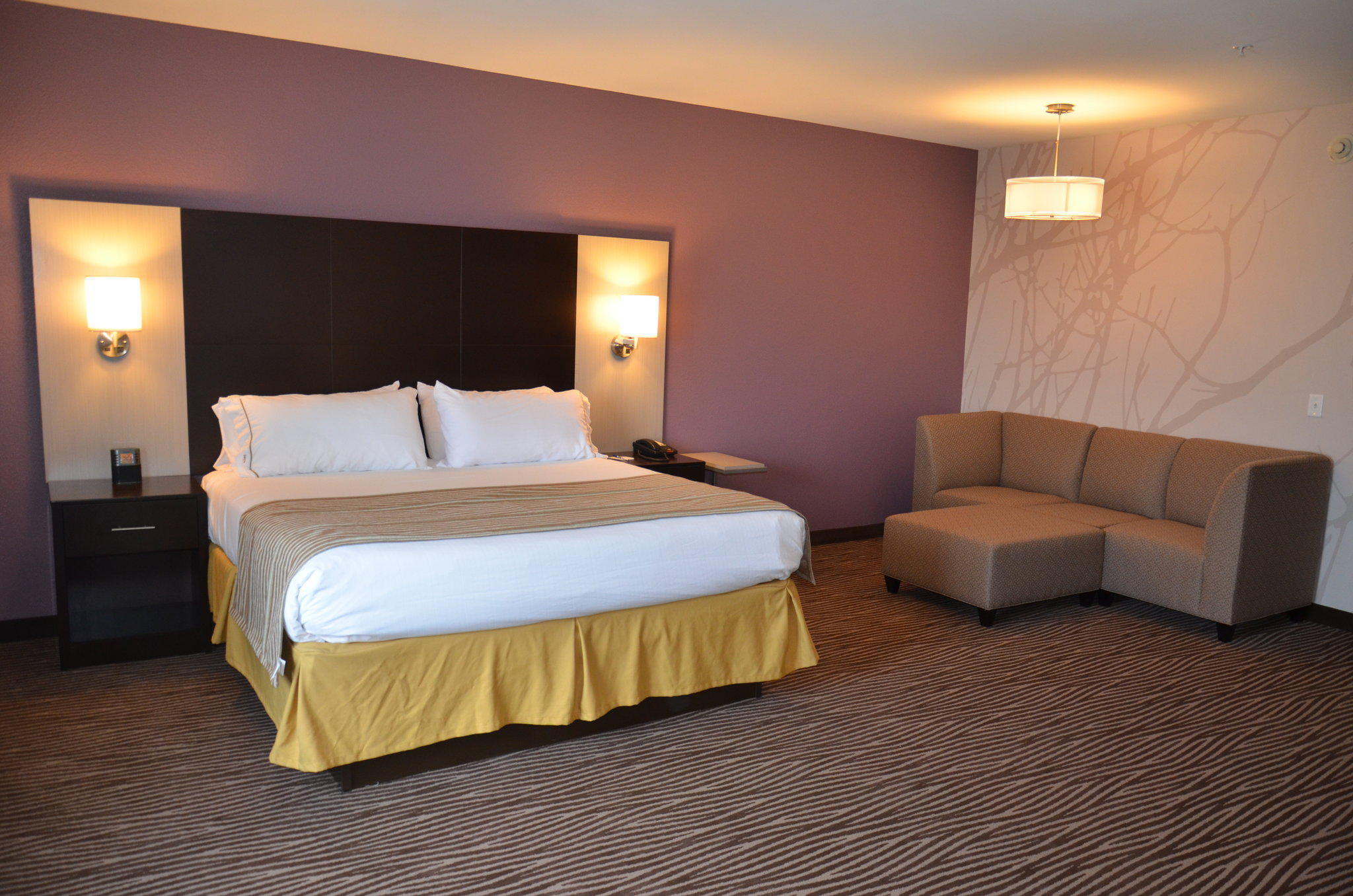 Holiday Inn Express Cheektowaga North East Photo