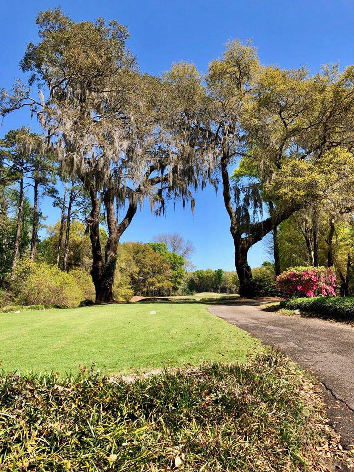 Wachesaw Plantation Club Photo