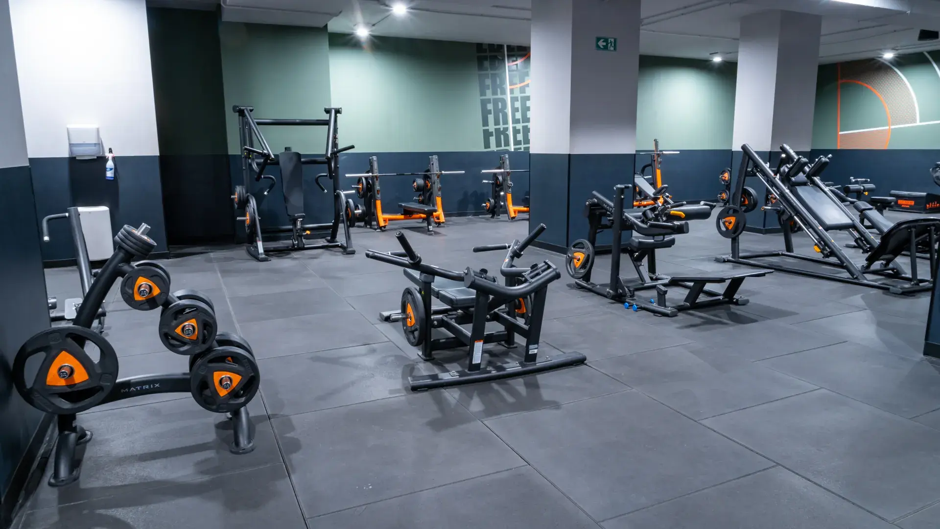 Galería de imágenes