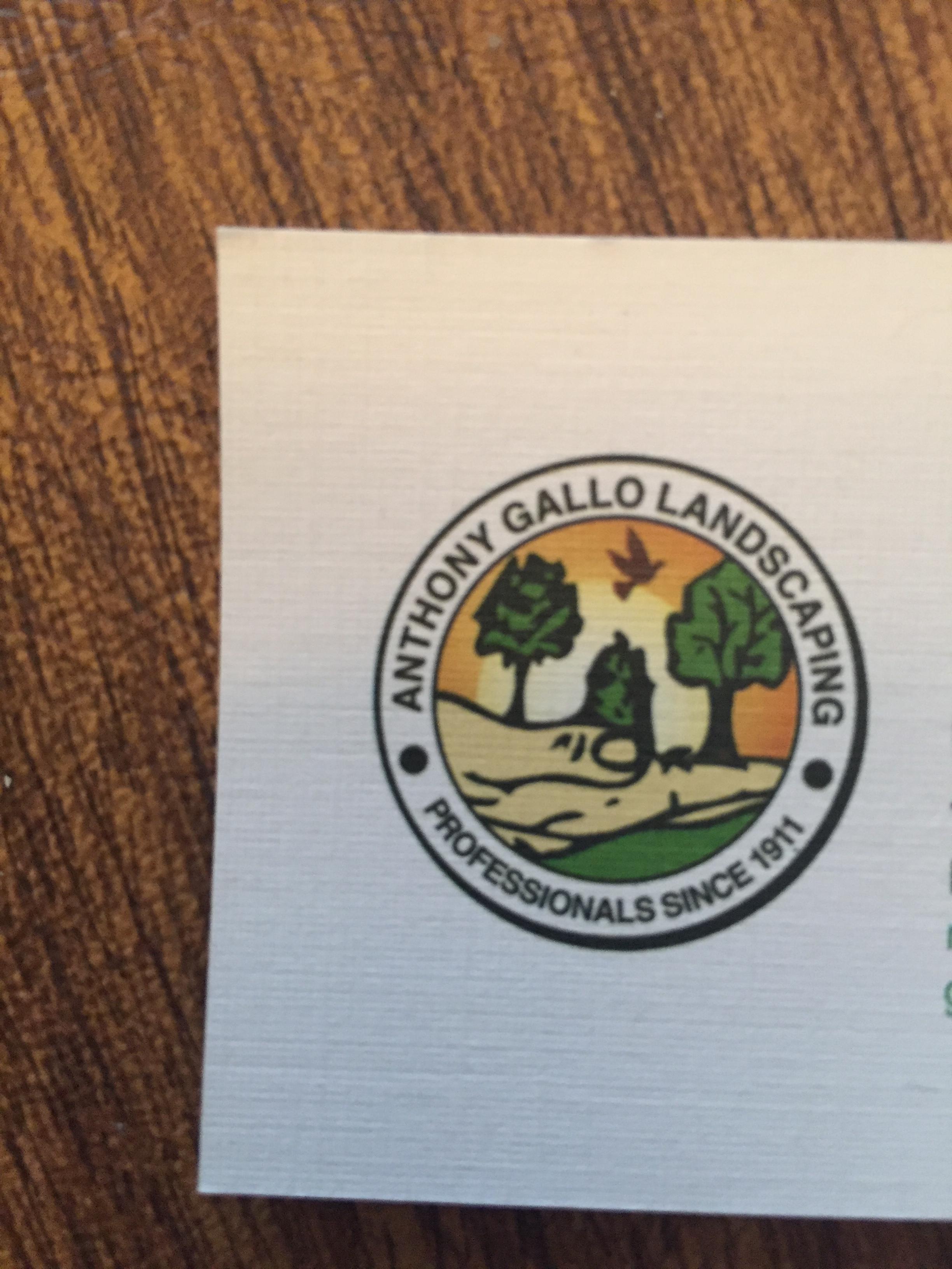 Anthony Gallo Landscaping &amp; Nursery Logo