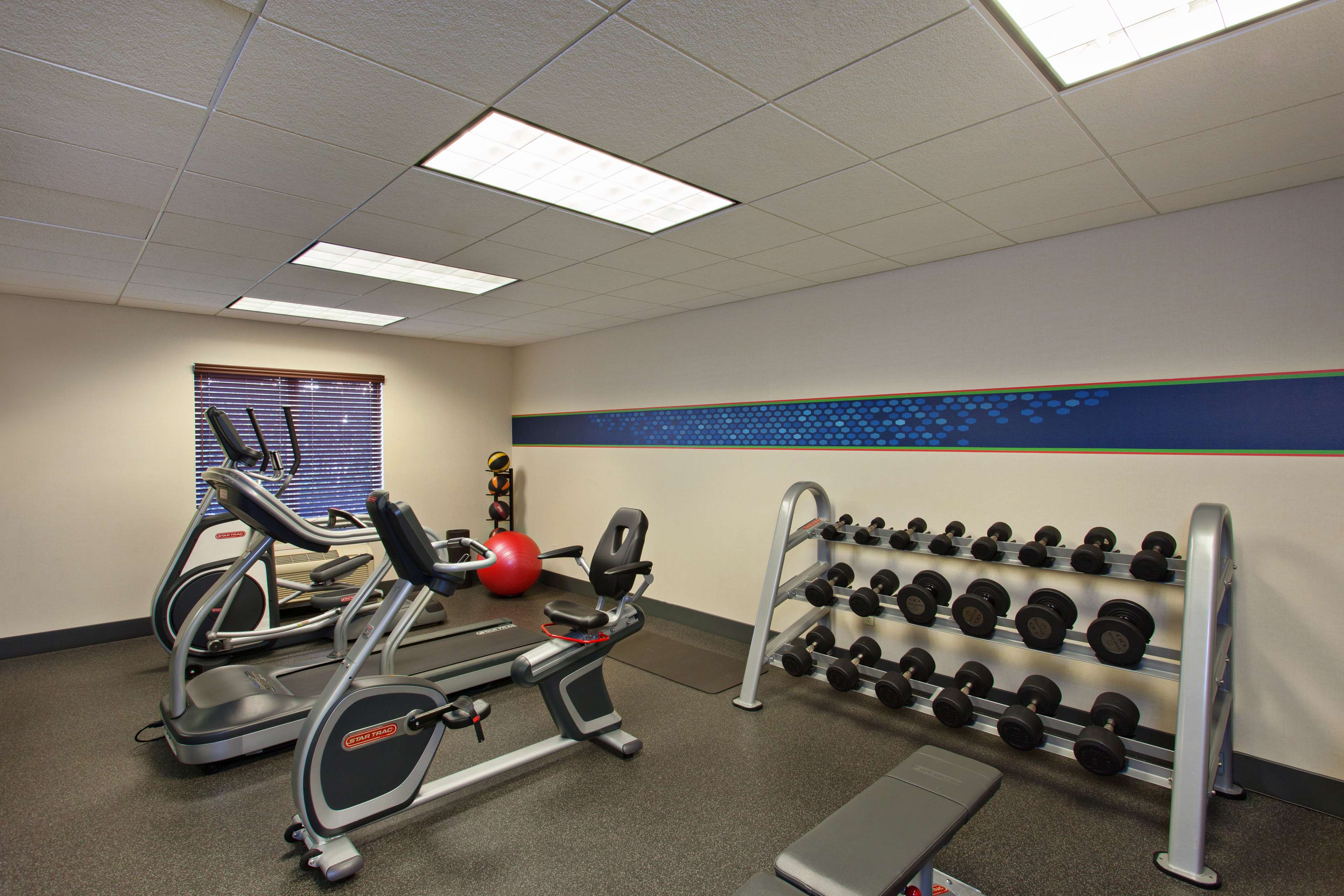 Health club  fitness center  gym