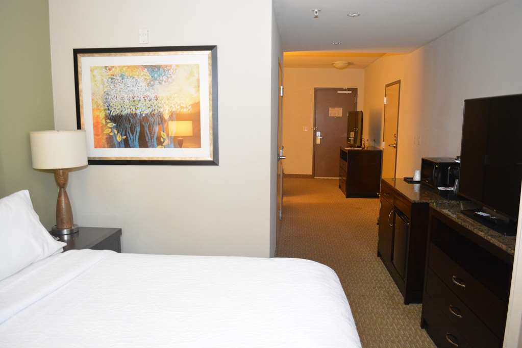 Hilton Garden Inn Houston-Pearland Image