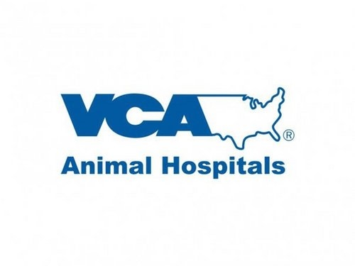 VCA Centennial Valley Animal Hospital Photo