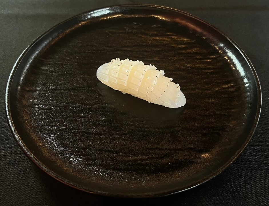 Squid