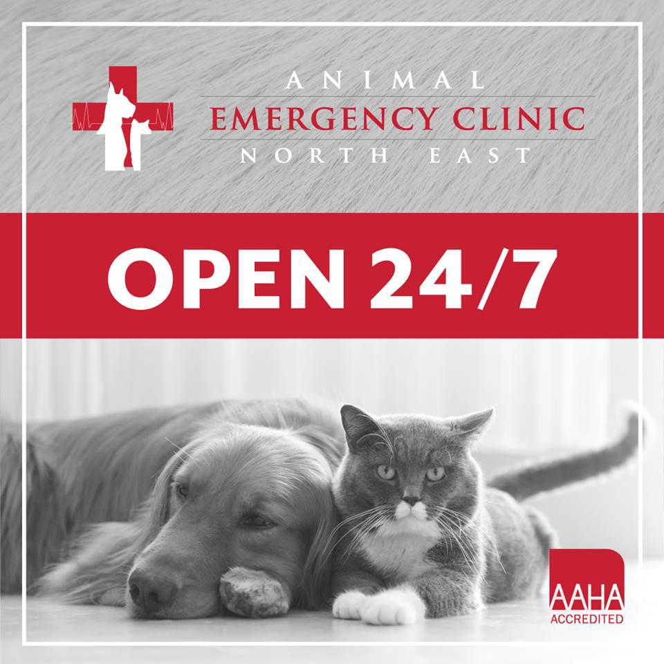 Animal Emergency Clinic NE Photo