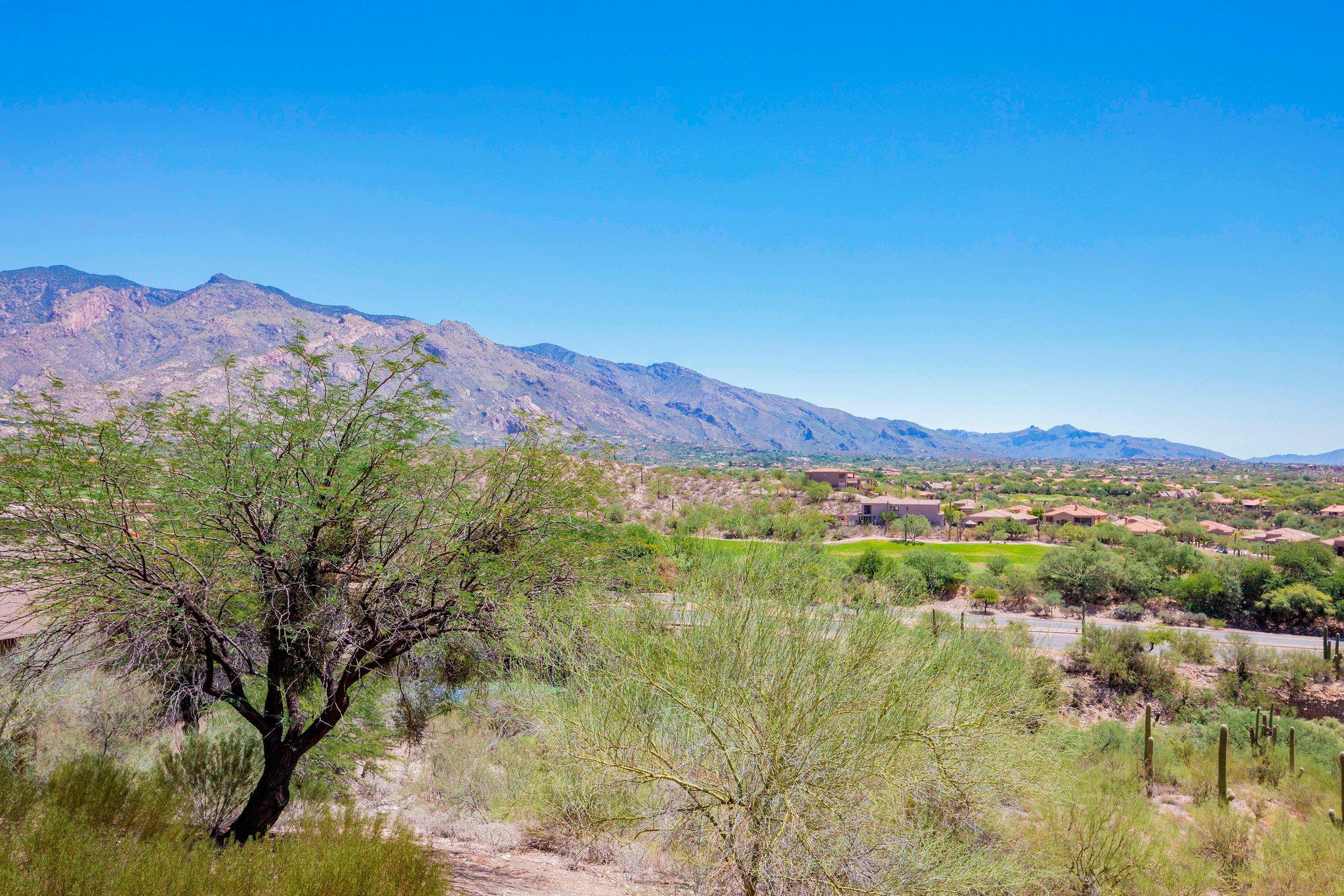 The Westin La Paloma Resort & Spa Photo