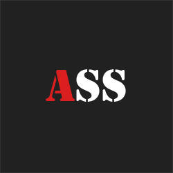 Active Security Systems