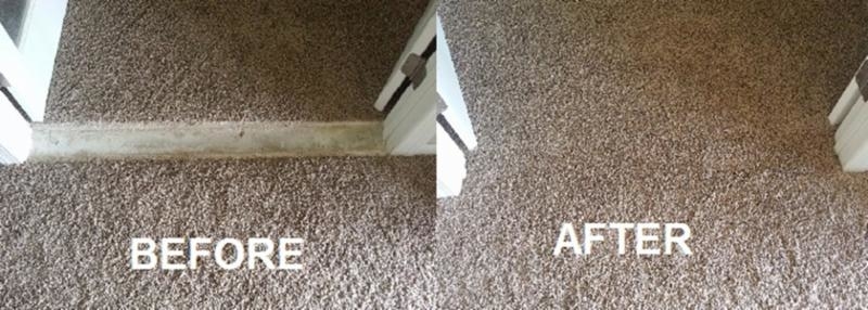 Images All Purpose Carpet Repair