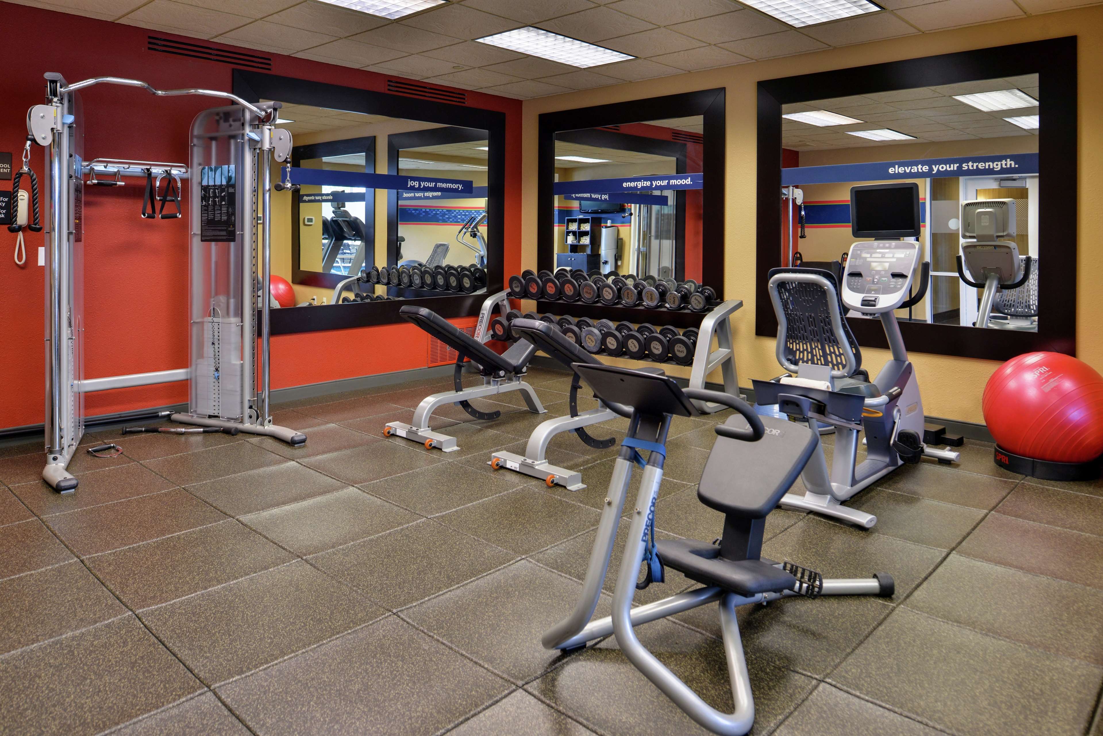 Health club  fitness center  gym