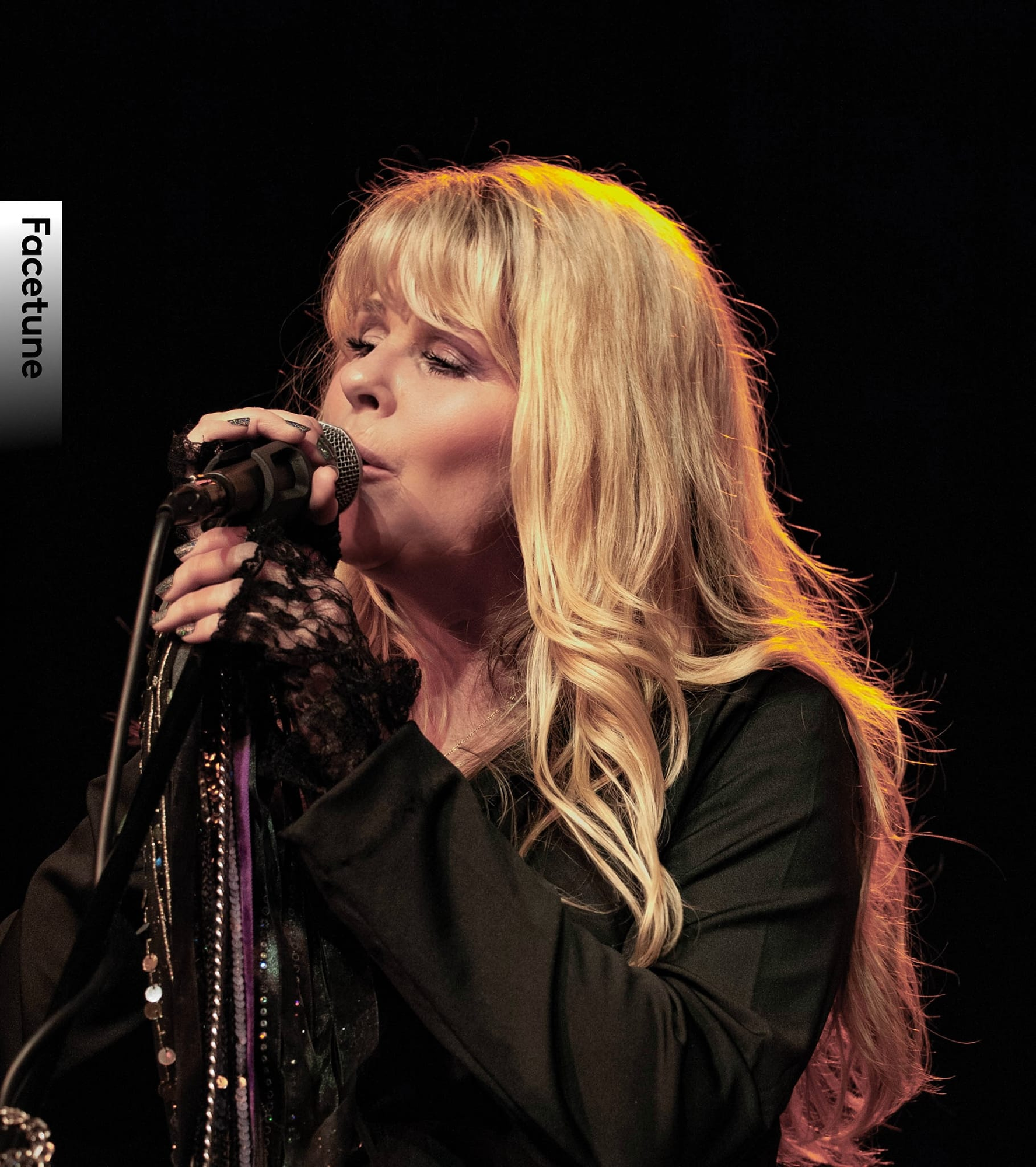 Stevie Nicks Tribute Band Image