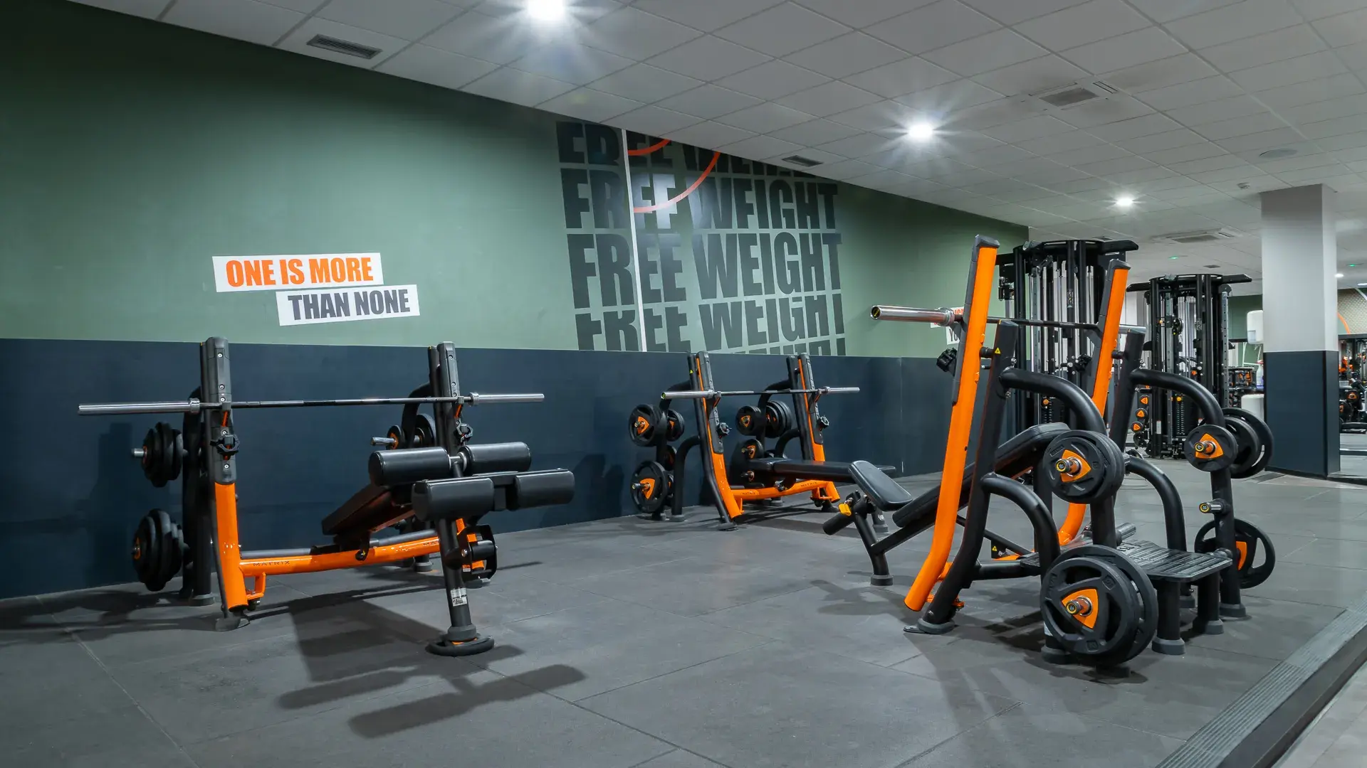 Galería de imágenes