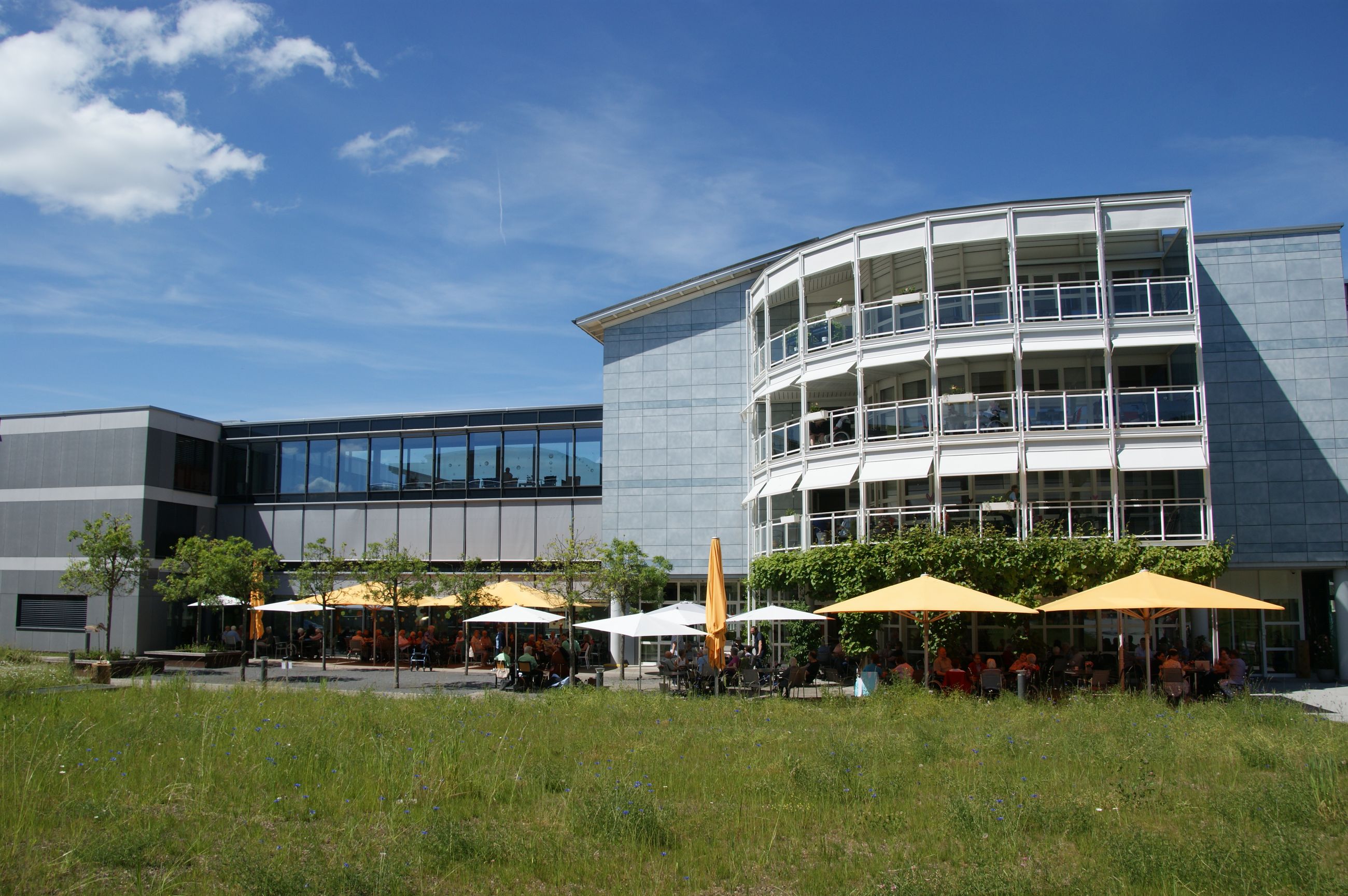 Galerie-Thumbnail