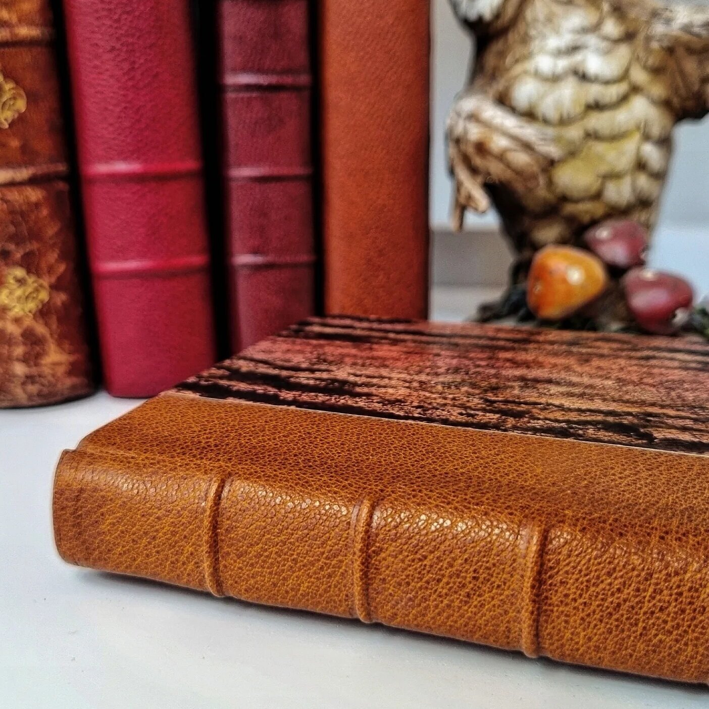 Miniature de la galerie