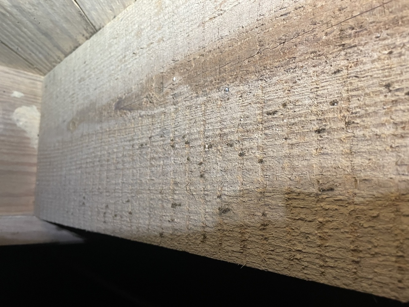 Ox Foundation Solutions Image