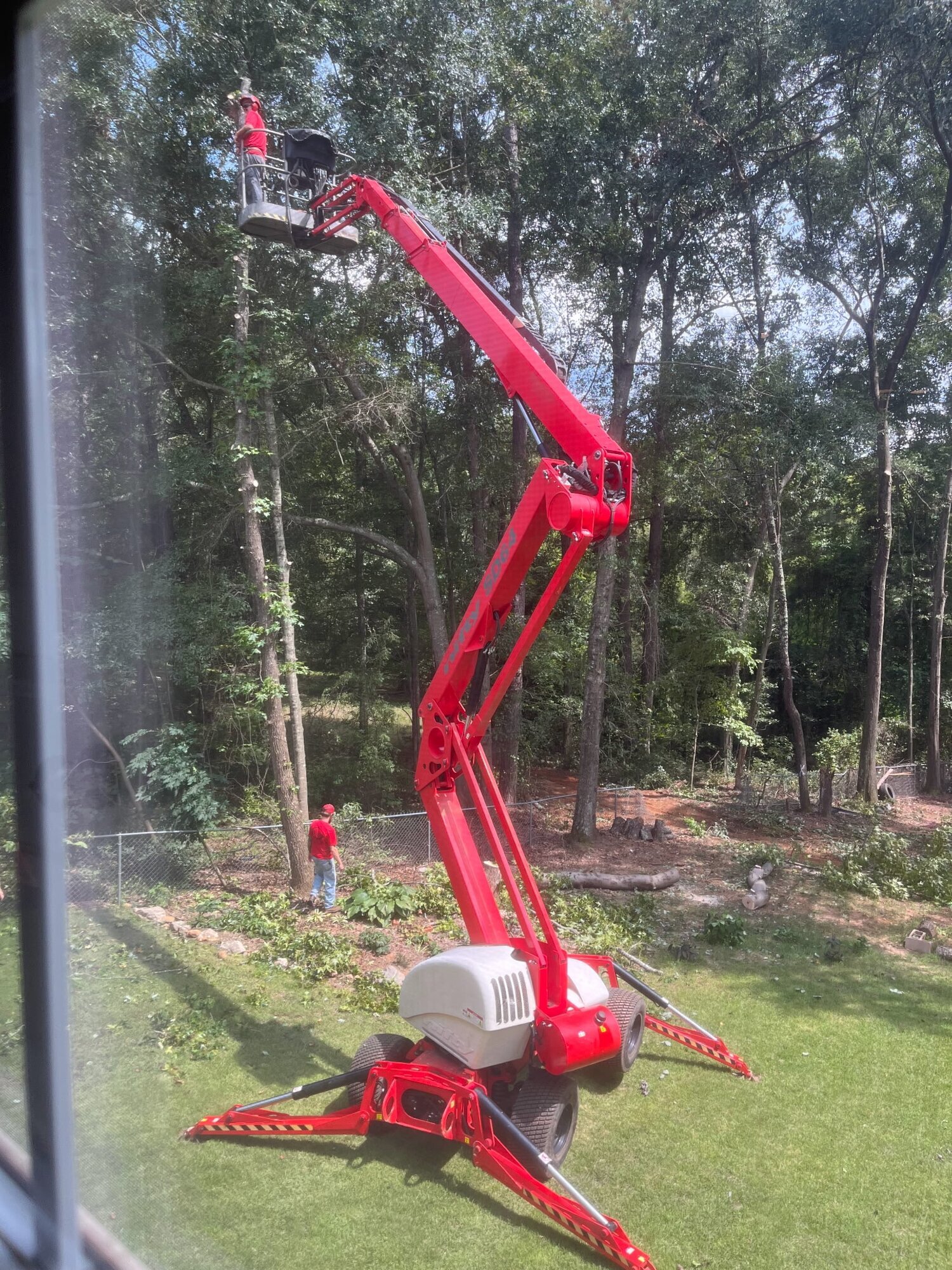 ALPHA TREE CARE LLC Image