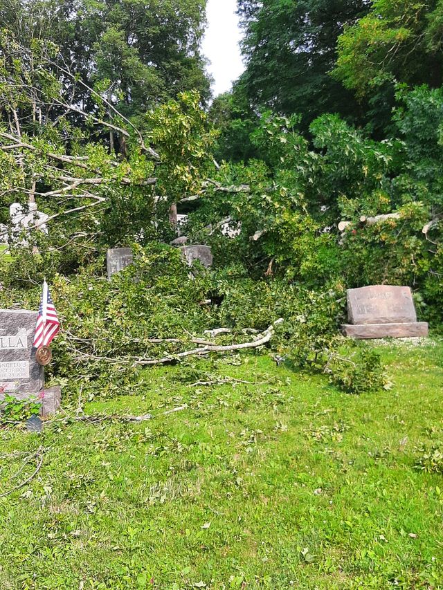 Bob's Tree Services Image