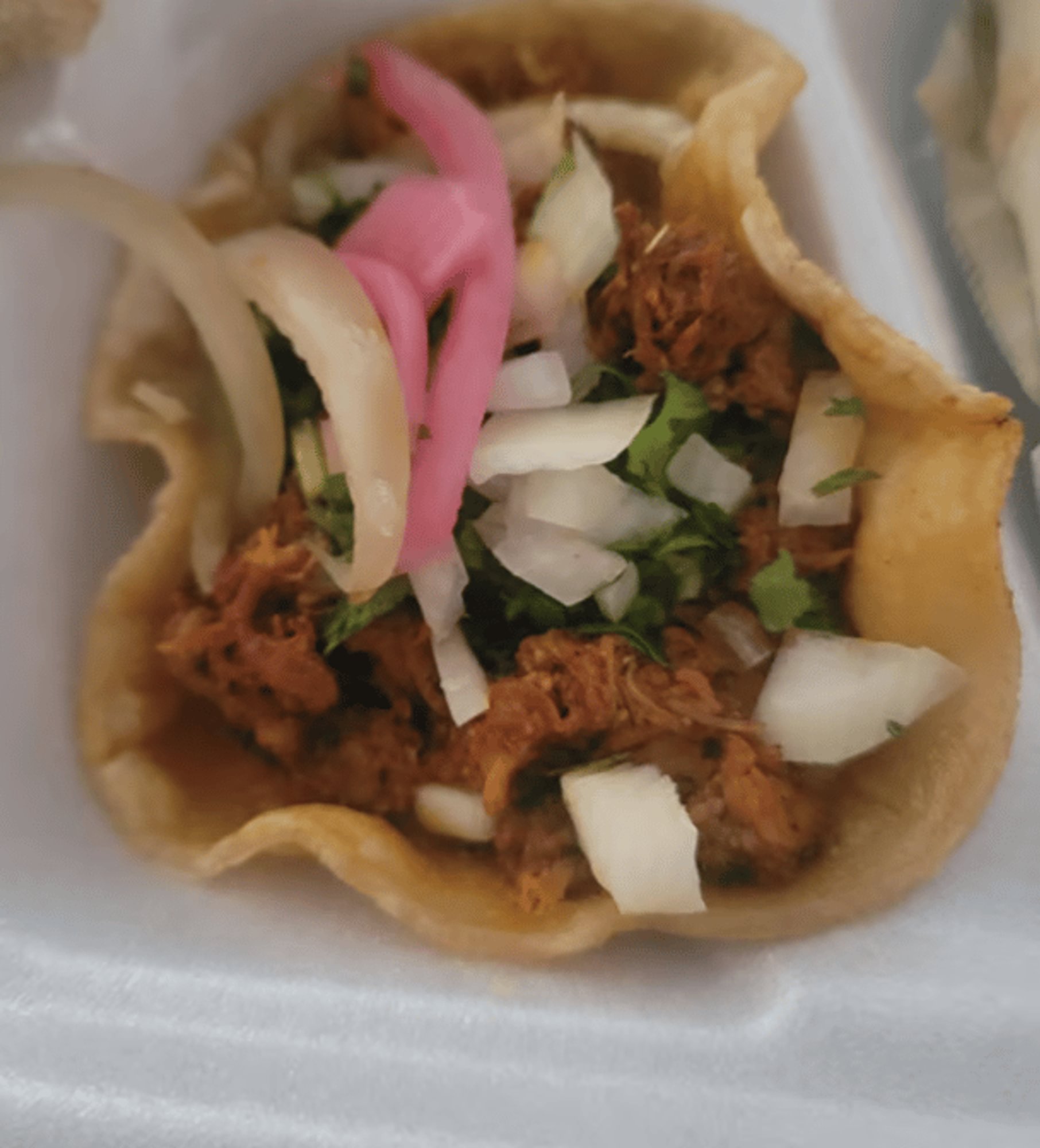 Cochinita Pibil Taco