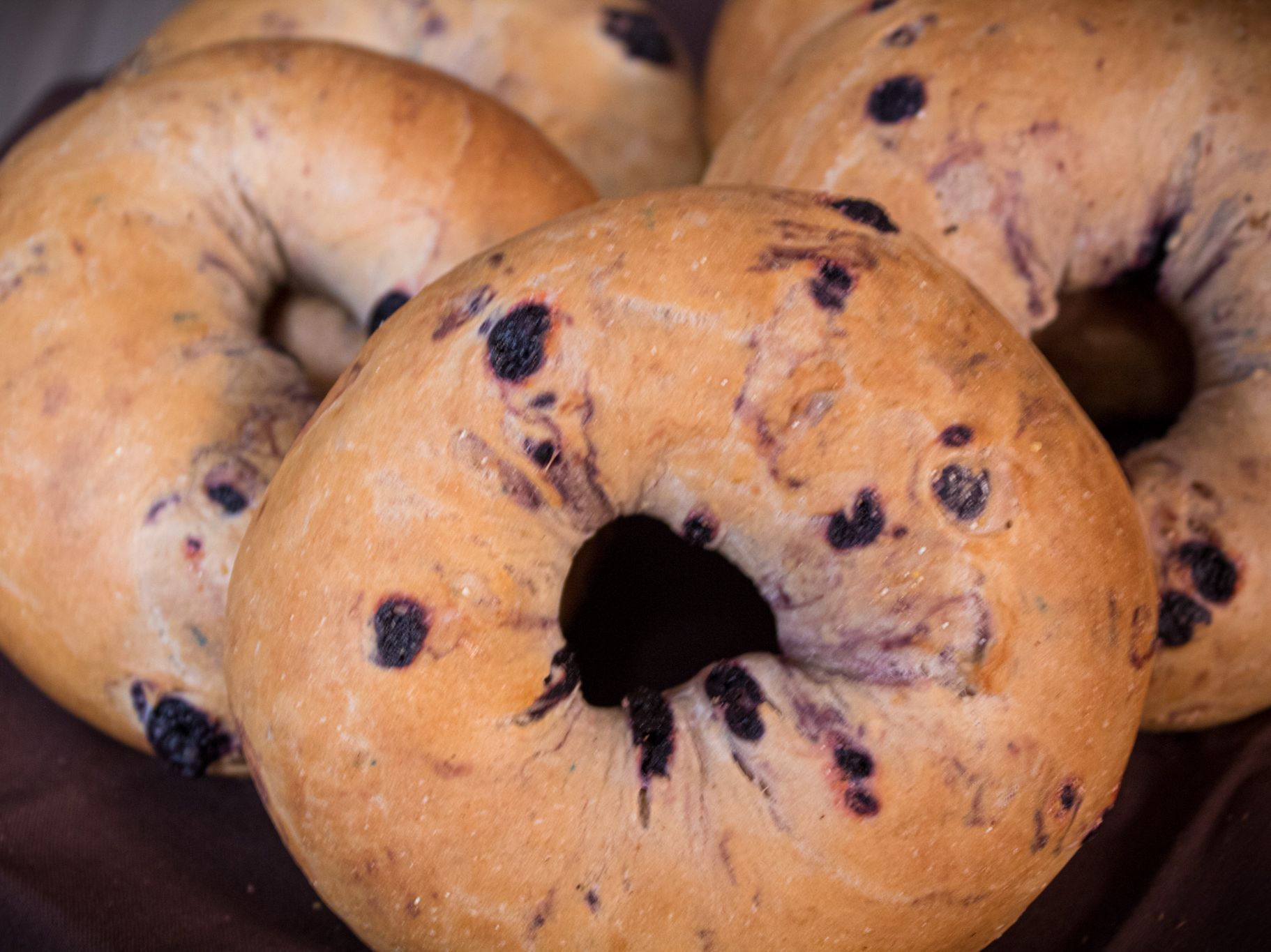 GLUTEN FREE HALF DOZEN (6+1 TUB CREAM CHEESE)