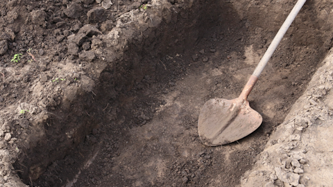 Archaeologist