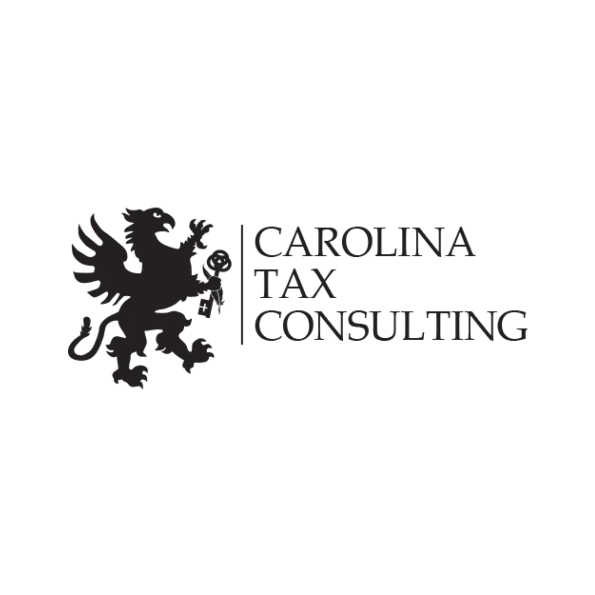 Carolina Tax Consulting, LLC