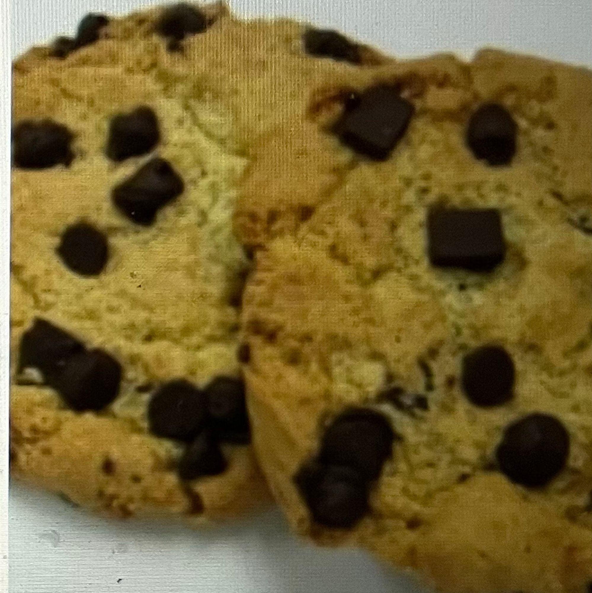 Homemade Large Chocolate Chip Cookie