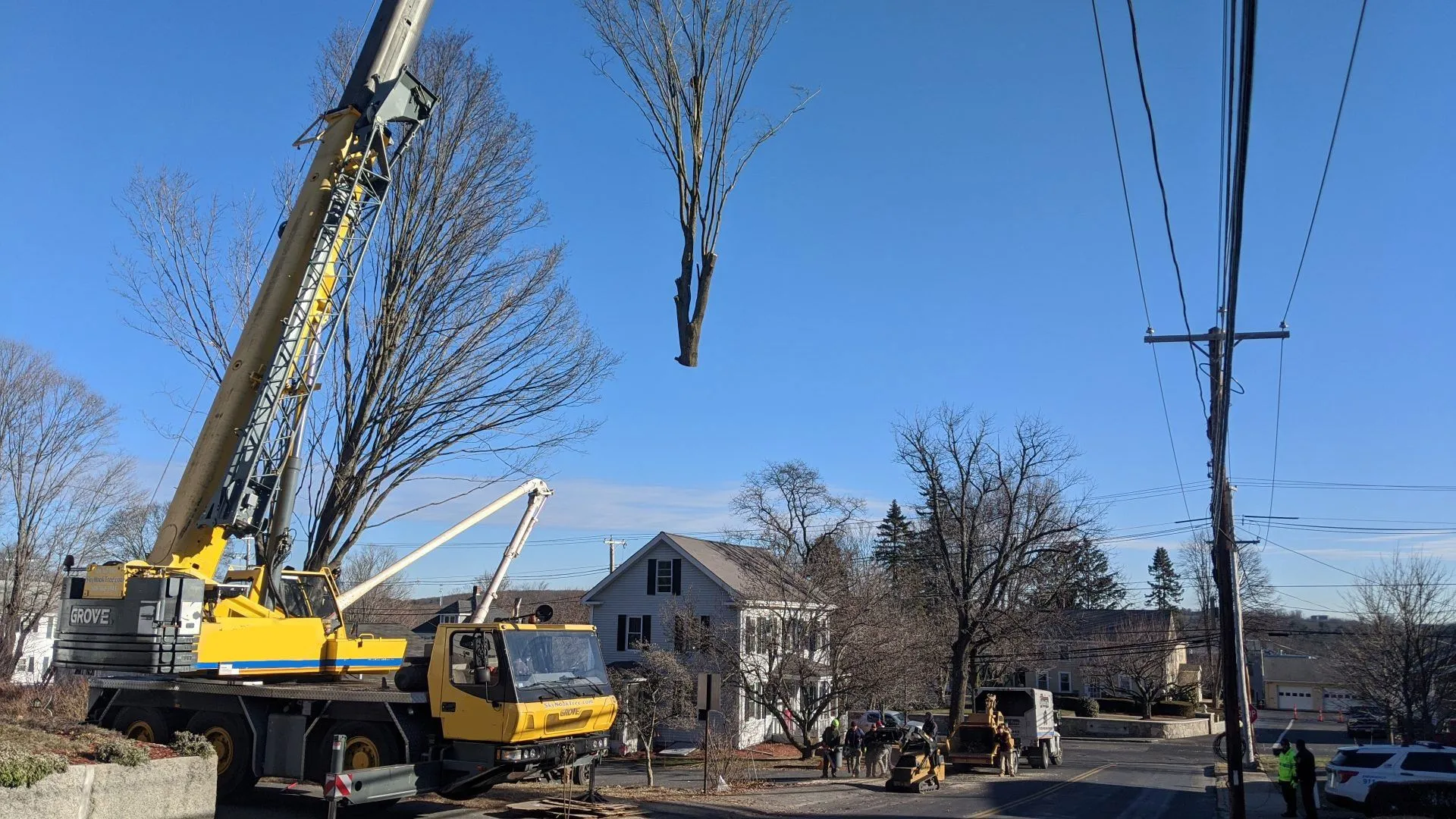 Tree Removal and Cutting