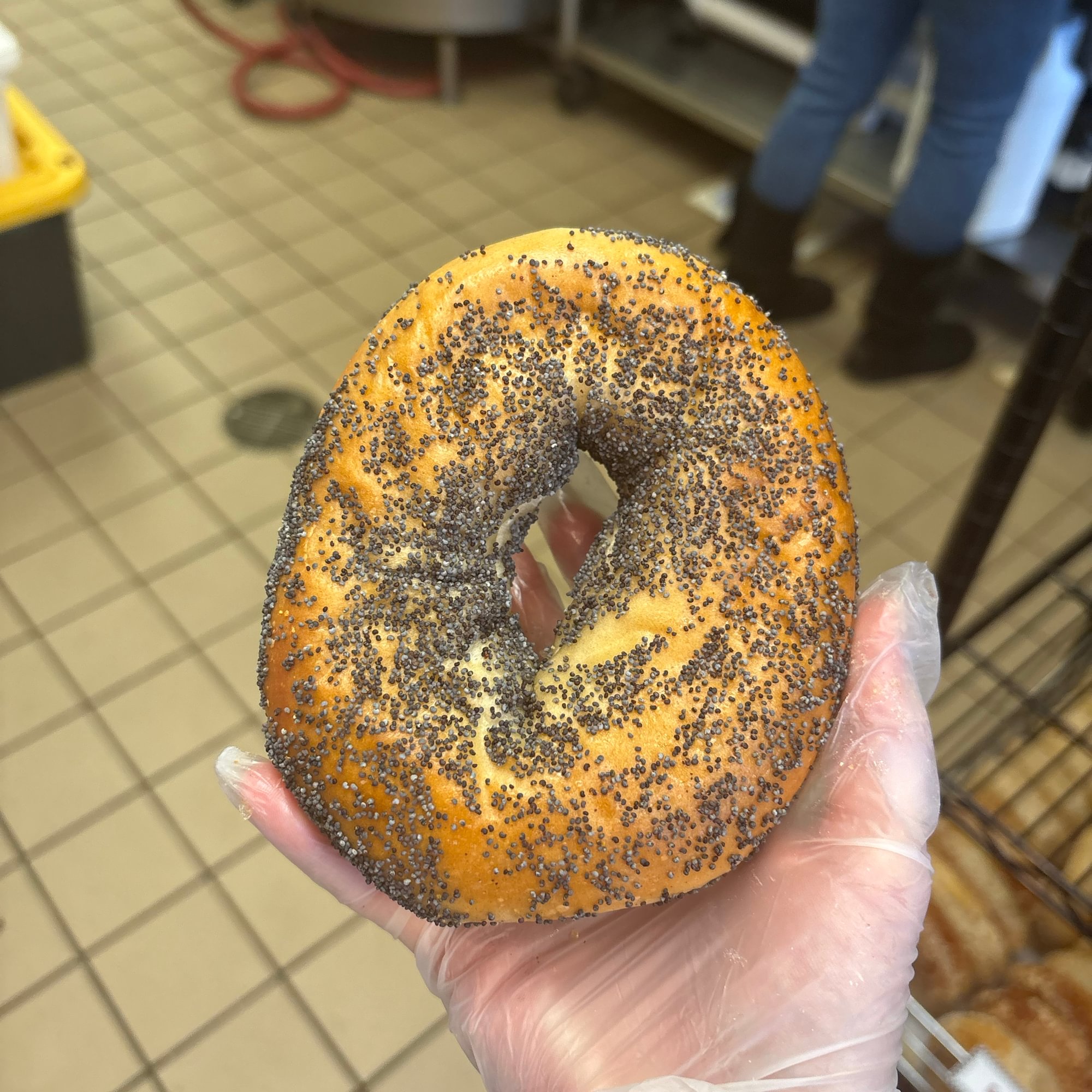 Poppy Bagel