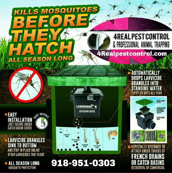 4Real Pest Control & Professional Animal Trapping Photo