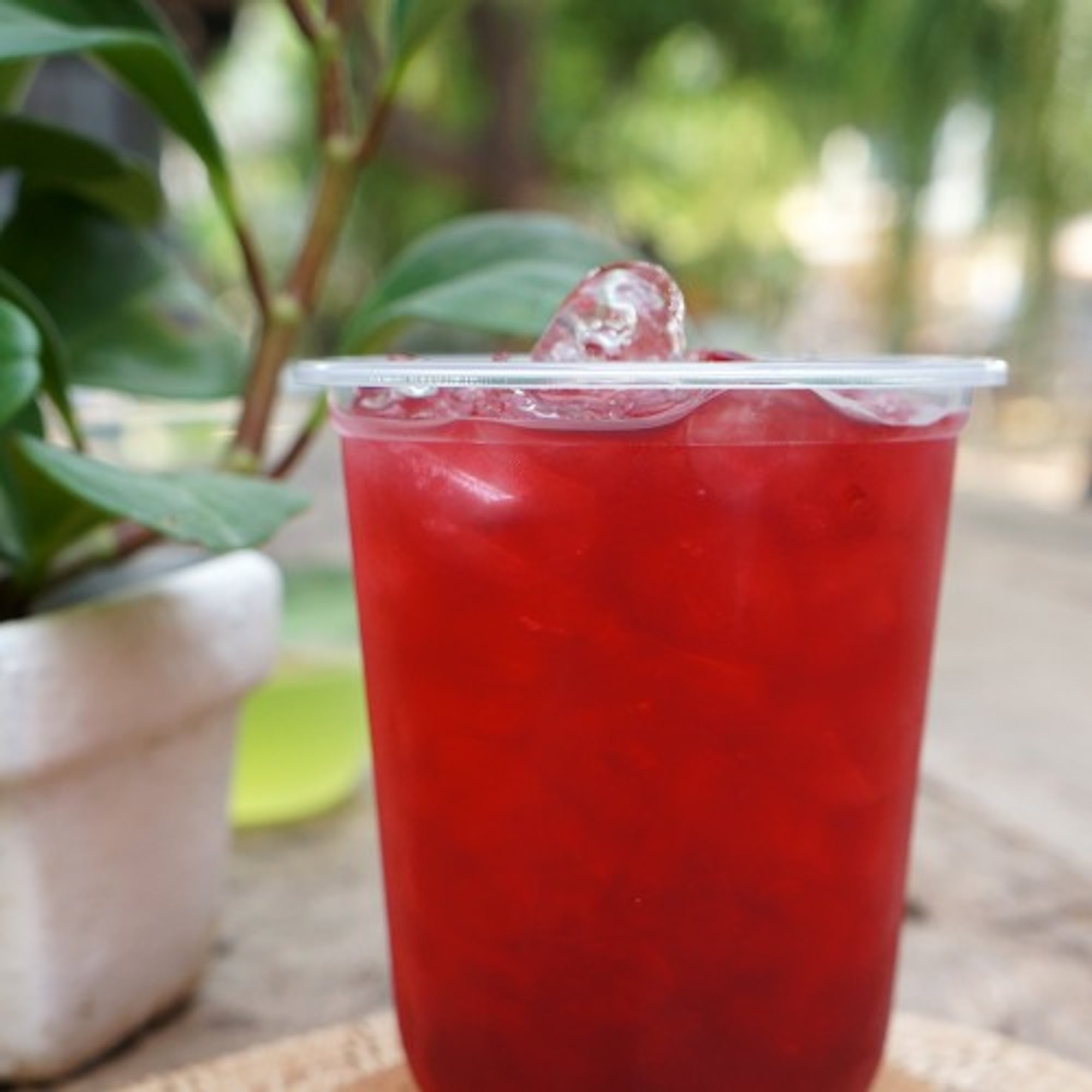 Jamaica