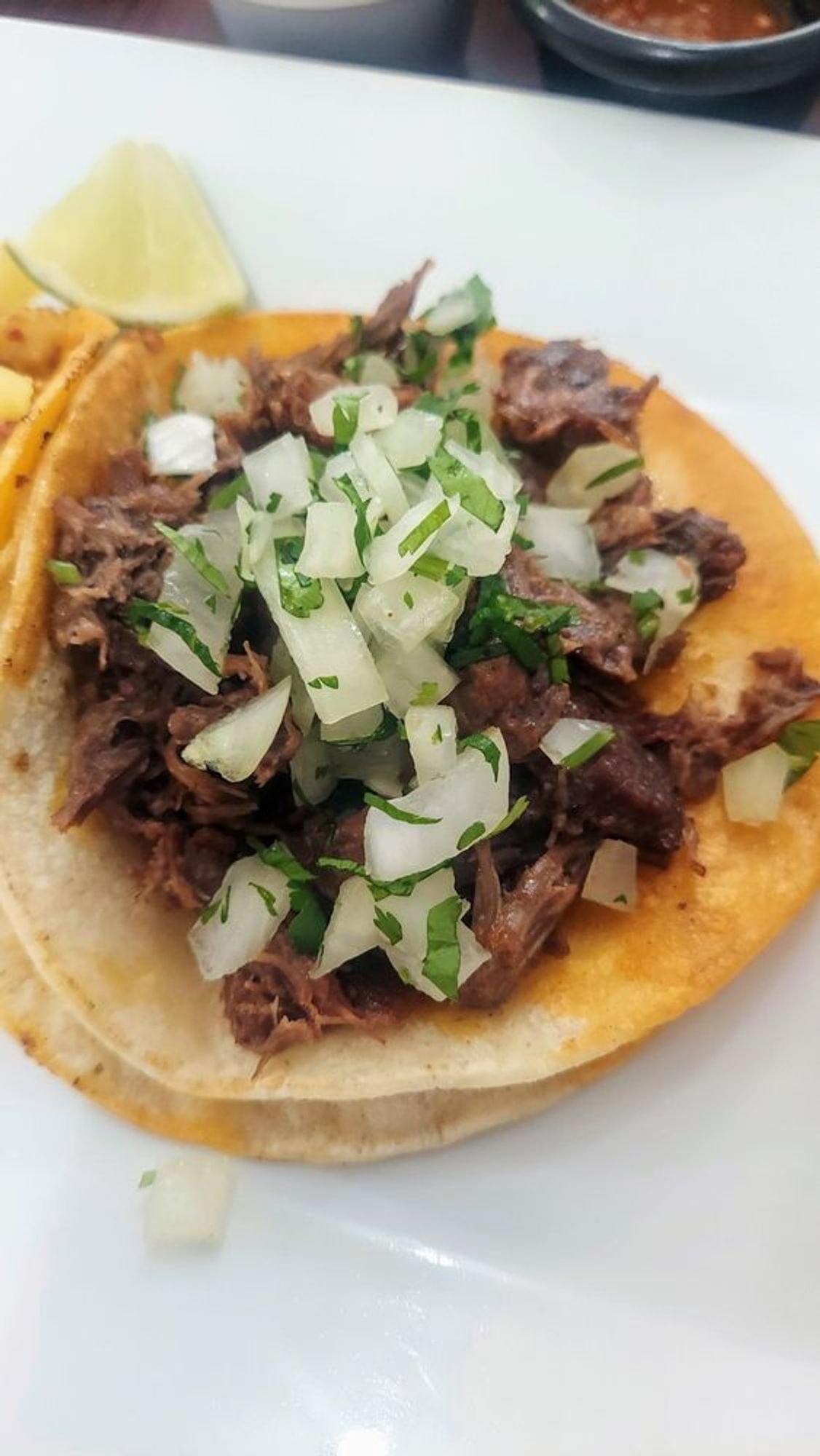 Barbacoa/Cow Cheek Taco