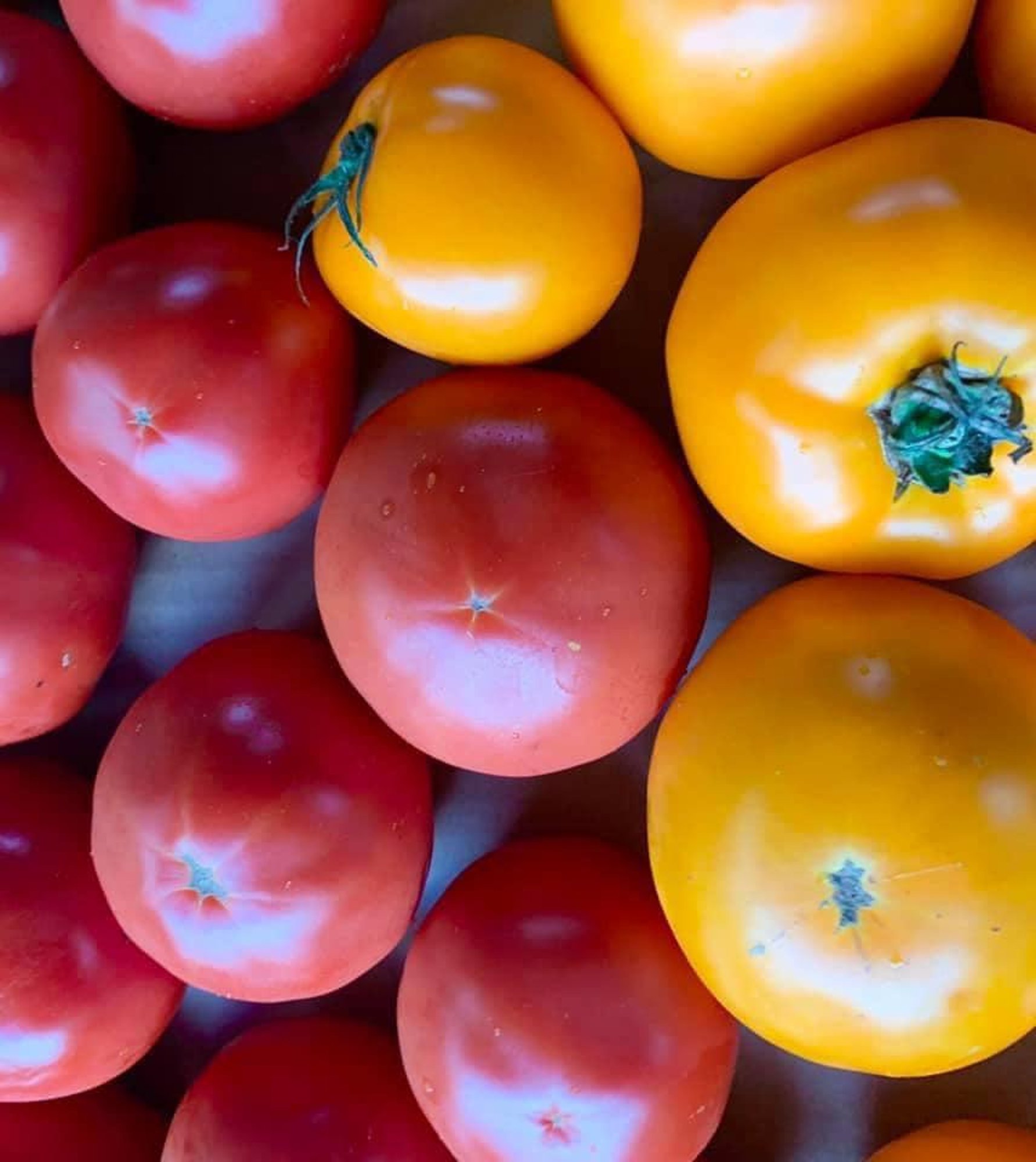 Caprese
