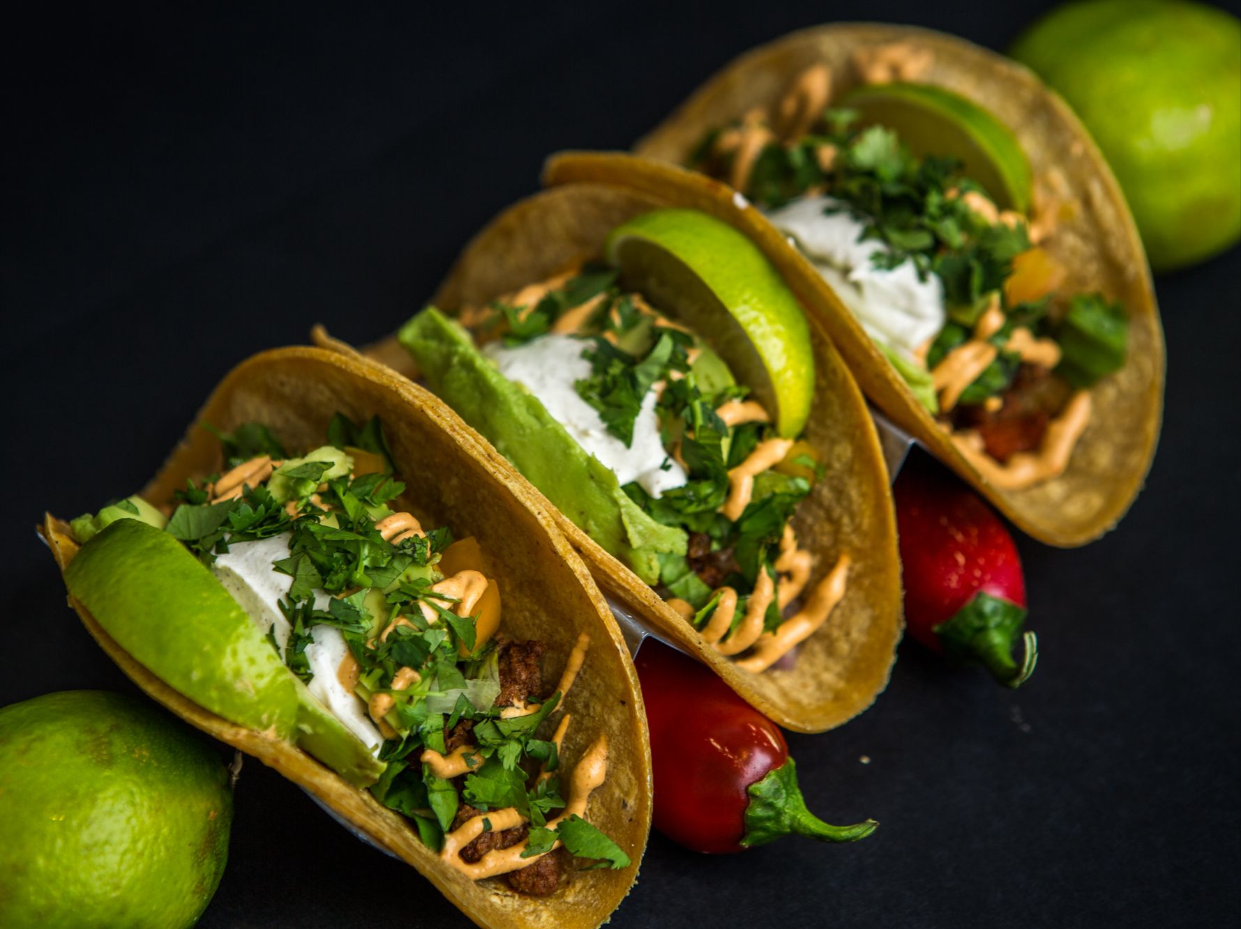 Bison Tacos