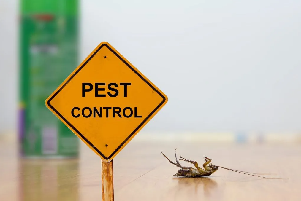 Death Row Pest Control Image