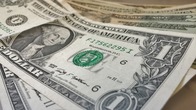 Save Money by Calling A Local Pro Save Money by Calling A Local Pro
