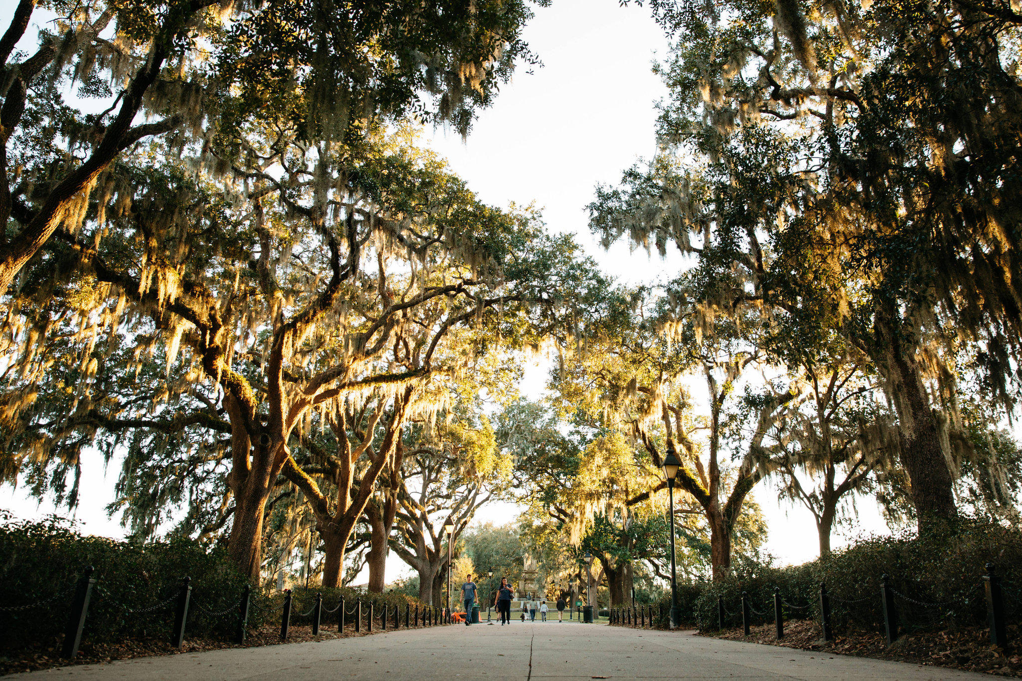 Mansion on Forsyth Park, Autograph Collection Photo