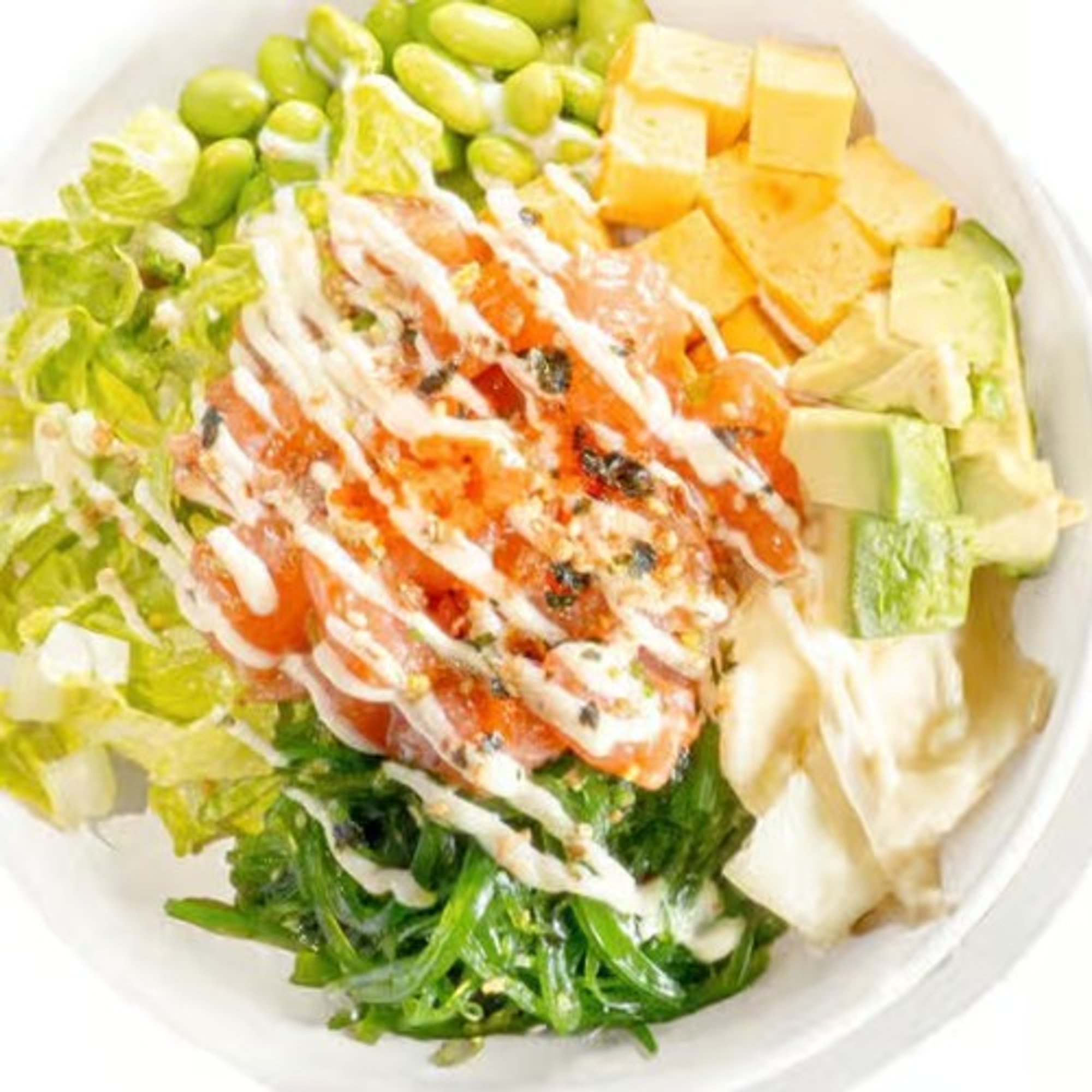 P1. Waikiki Wave Bowl