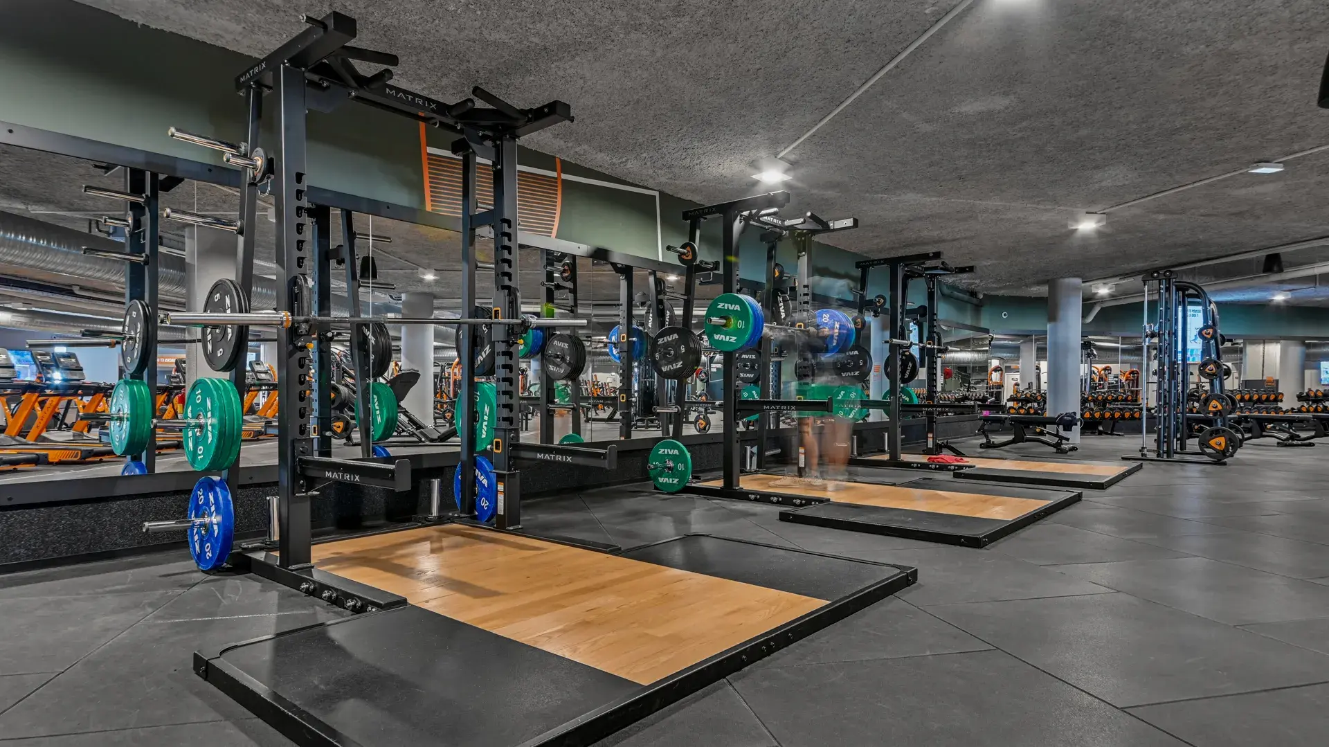 Miniature de la galerie