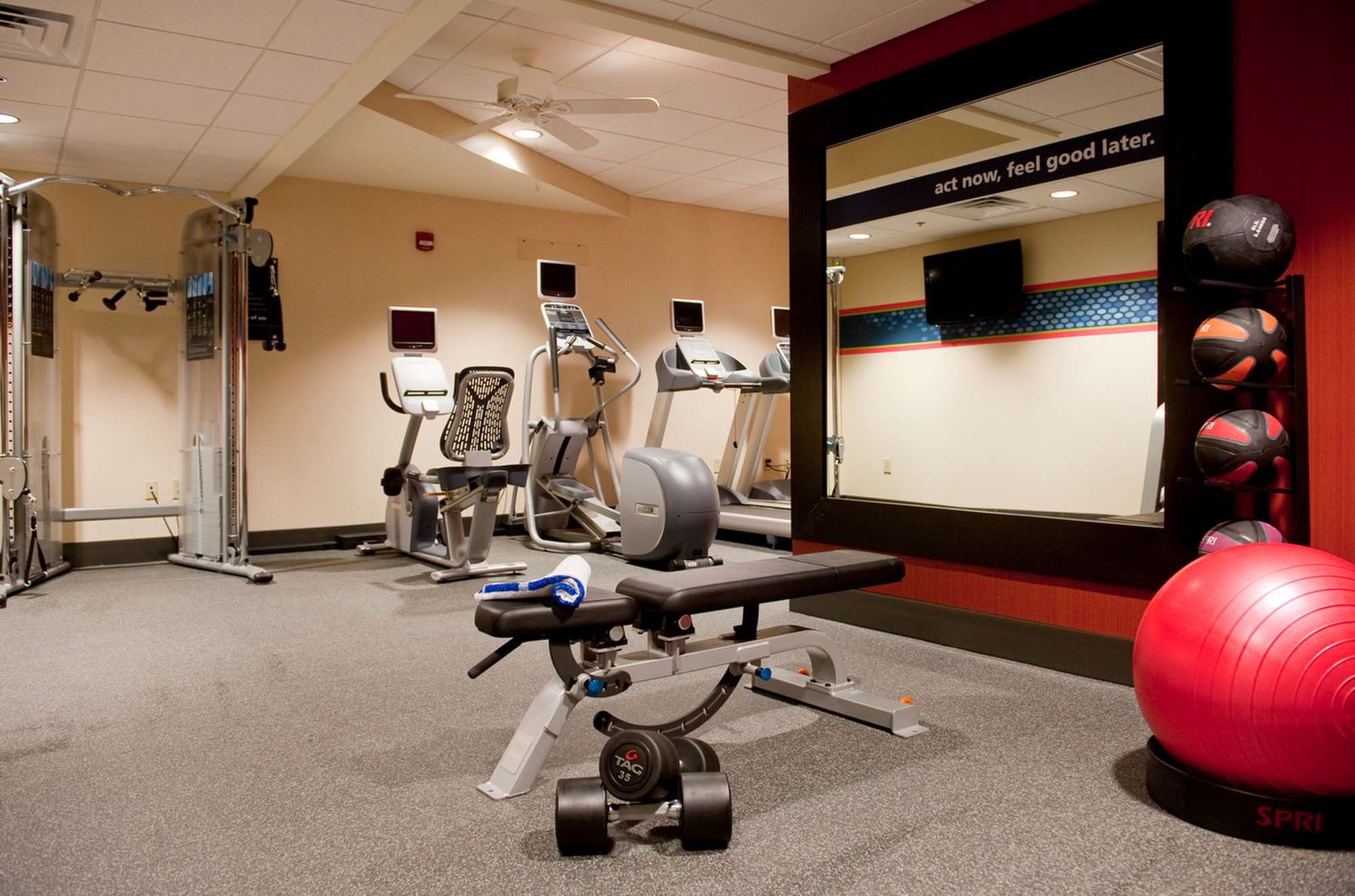 Health club  fitness center  gym