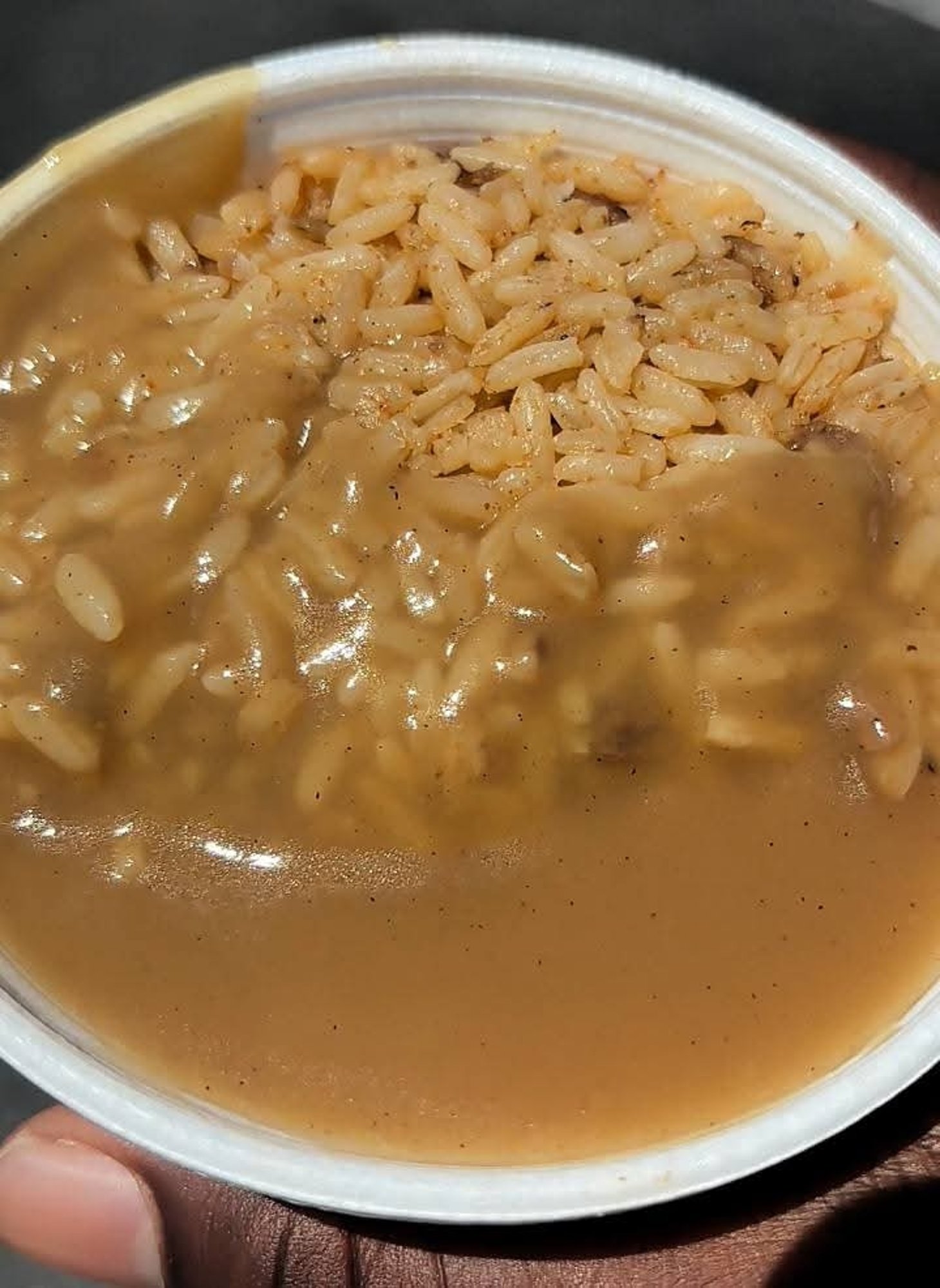 Rice & Gravy
