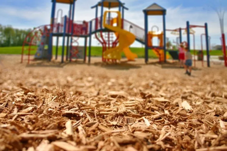 Mulch and Bark