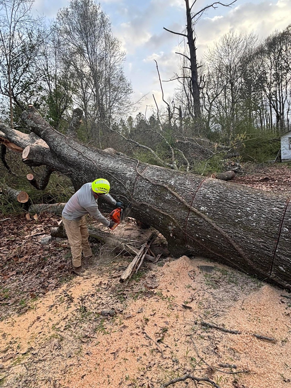 Stumps Unlimited Image