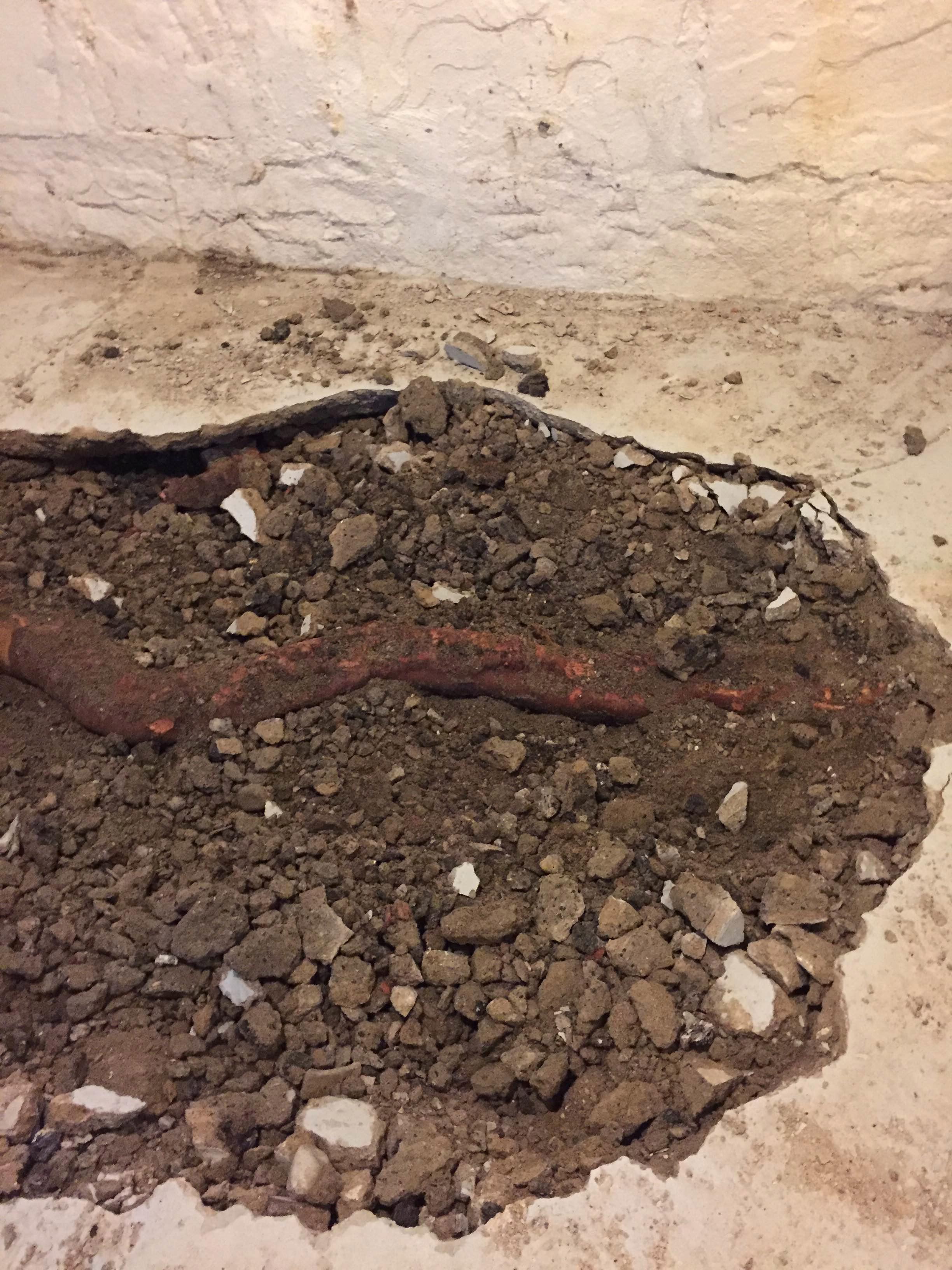 Tree roots can cause damage (heaving and cracking) to a foundation floor slab. 