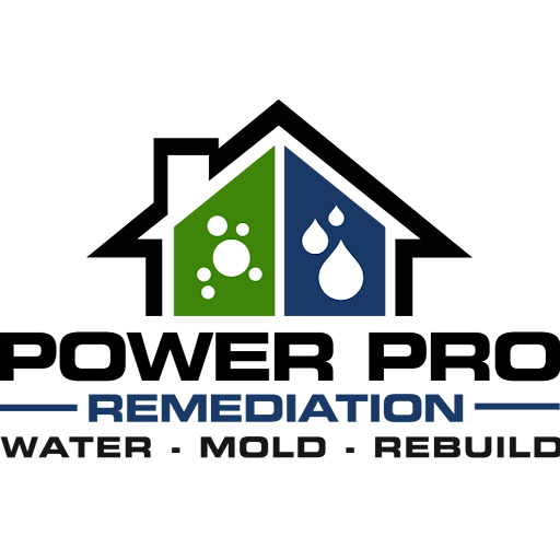 Power Pro Remediation Logo