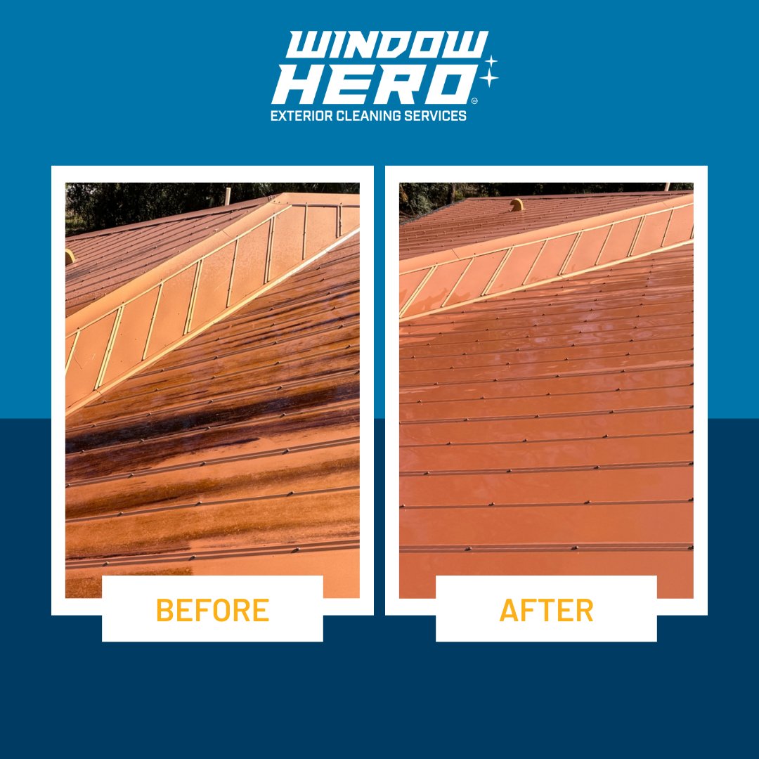 Window Hero Charlotte Image