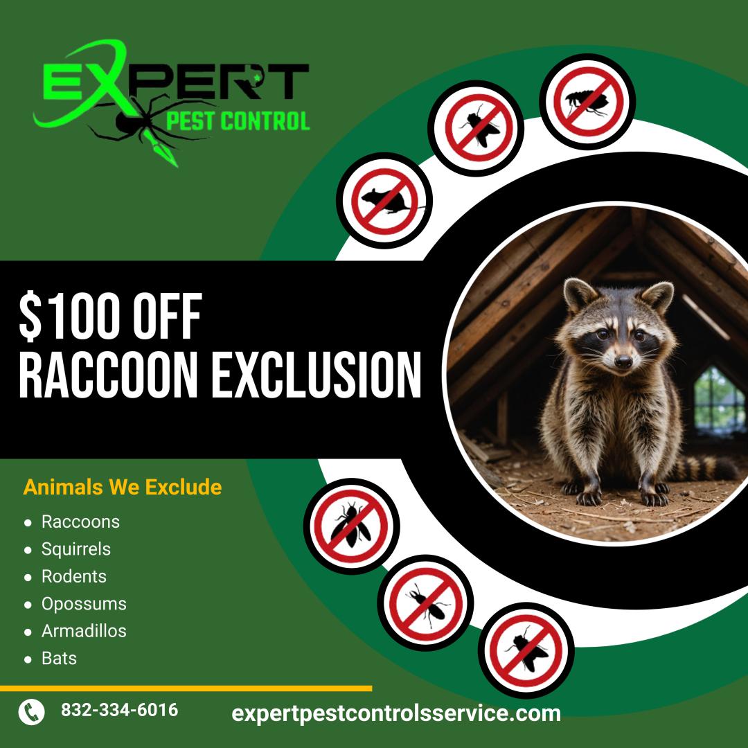 Expert Pest Control Image